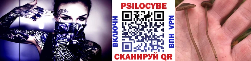 дарнет шоп  MEGA сайт  Псилоцибиновые грибы Psilocybine cubensis  Нерчинск 